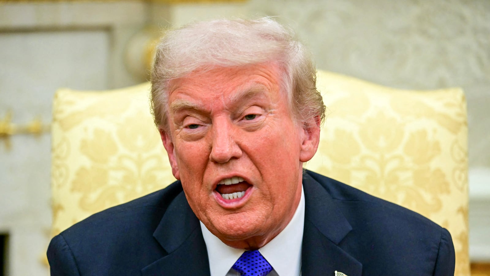 President Donald Trump