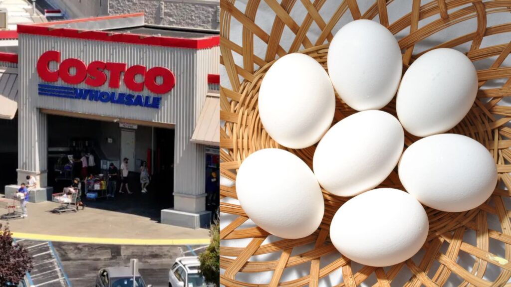 Costco Eggs Recall